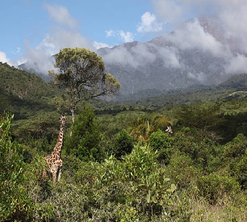 1 day Mount Meru hiking