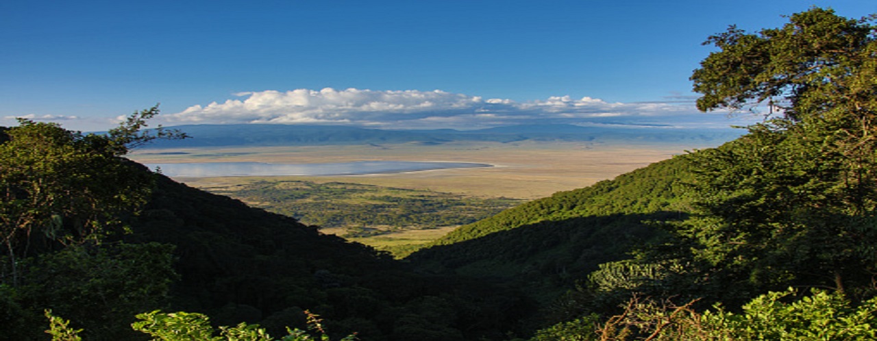 Tanzania safari to Ngorongoro crater